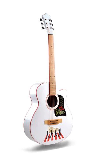 Студентска входна акустична китара